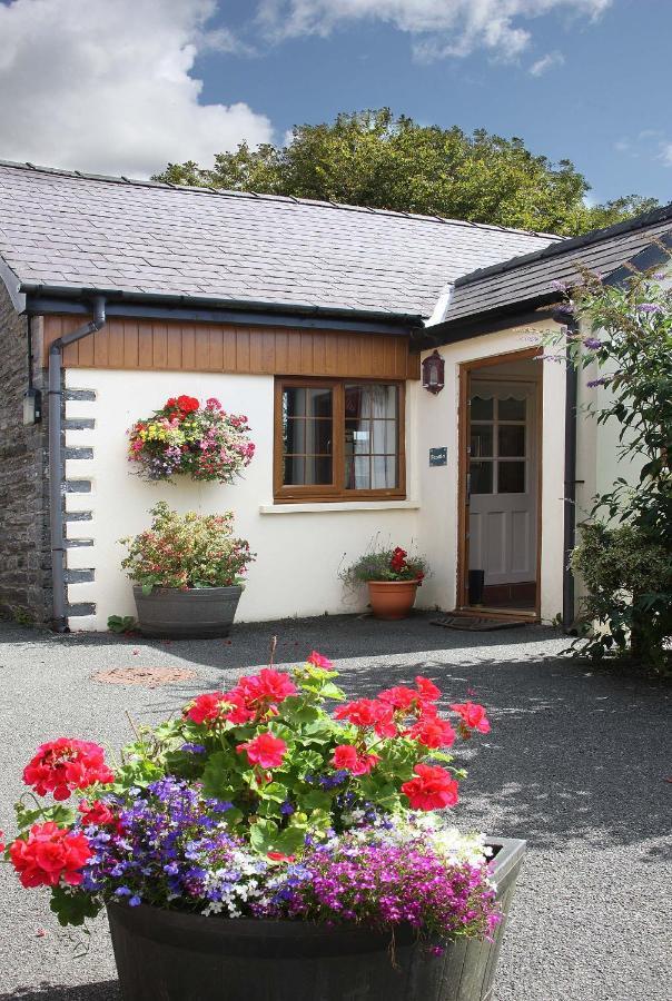 Croft Farm & Celtic Cottages Кардиган Экстерьер фото